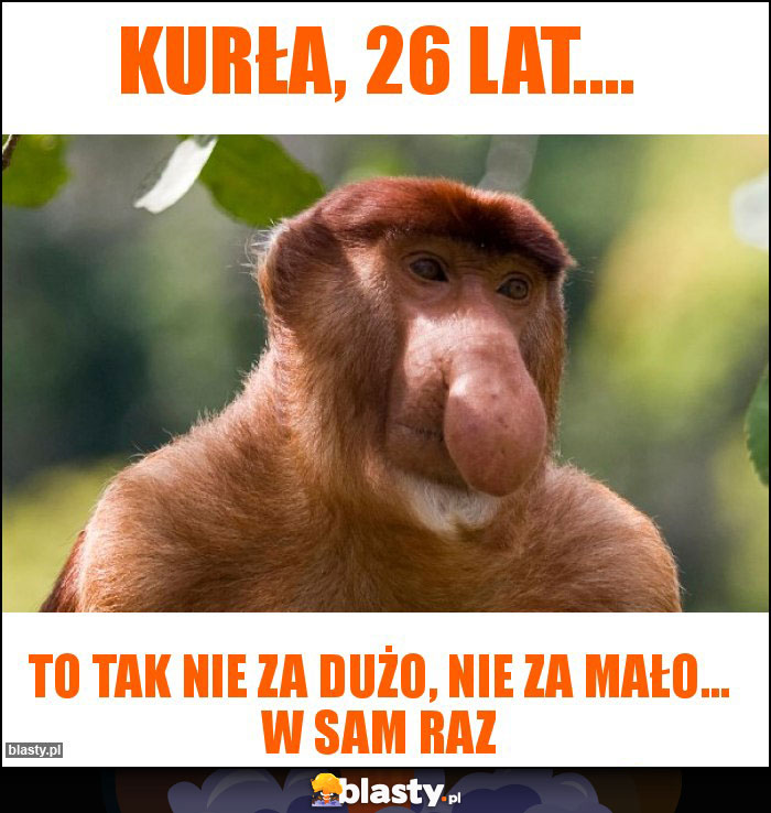 KURŁA, 26 lat....