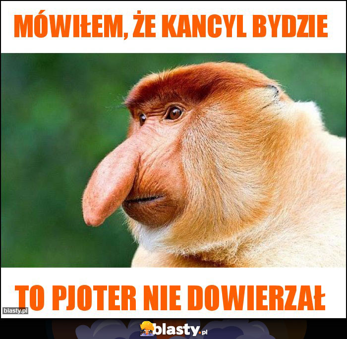 Mówiłem, że kancyl bydzie