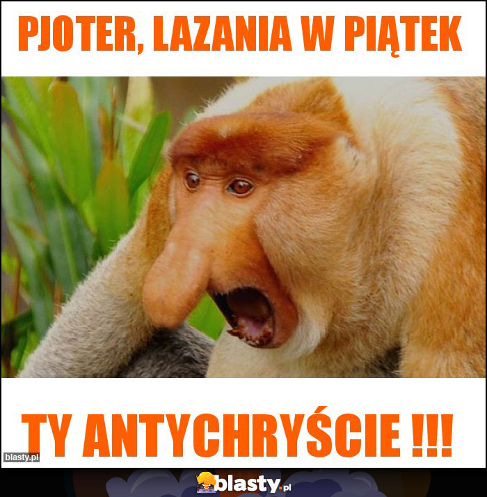 PJOTER, LAZANIA W PIĄTEK