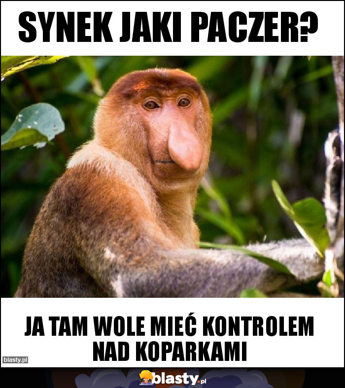 Synek jaki paczer?