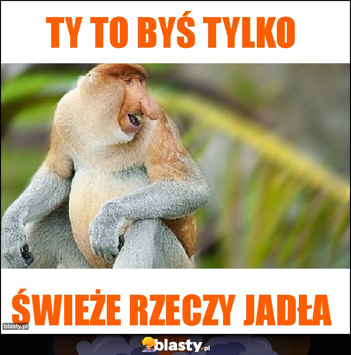 Ty to byś tylko