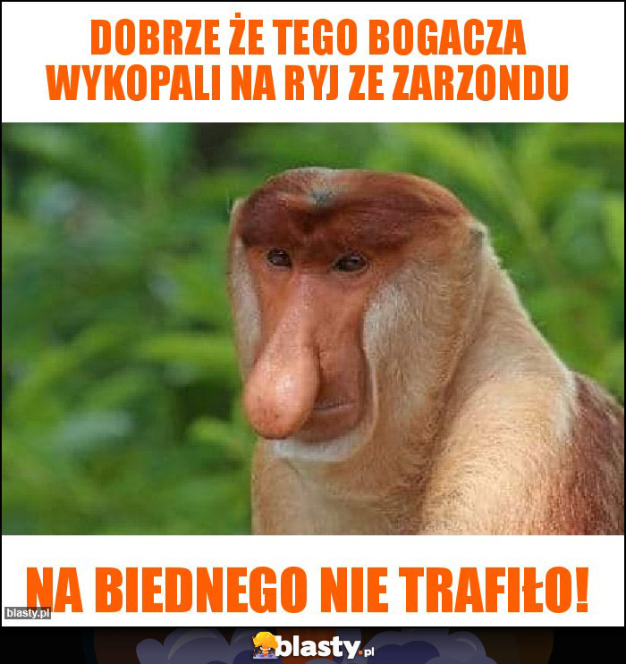 Dobrze że tego bogacza wykopali na ryj ze zarzondu