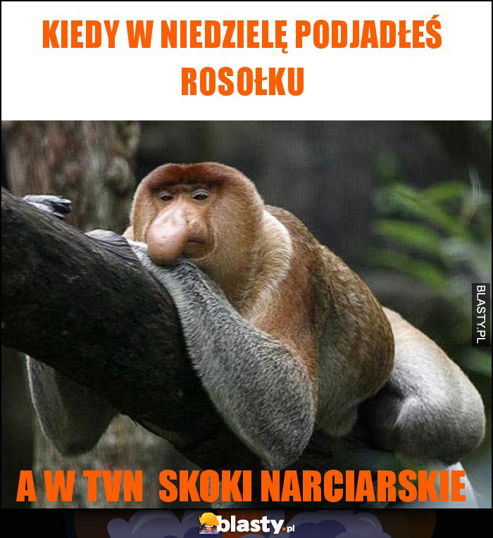 kiedy w niedzielę podjadłeś rosołku