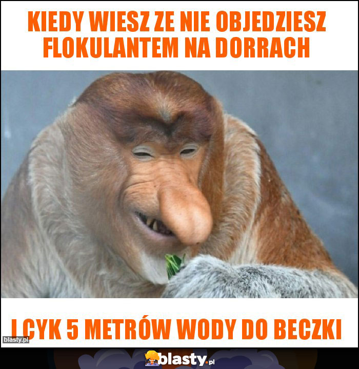 Kiedy wiesz ze nie objedziesz flokulantem na dorrach