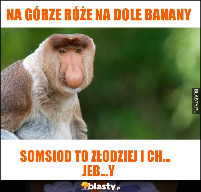 na górze róże na dole banany