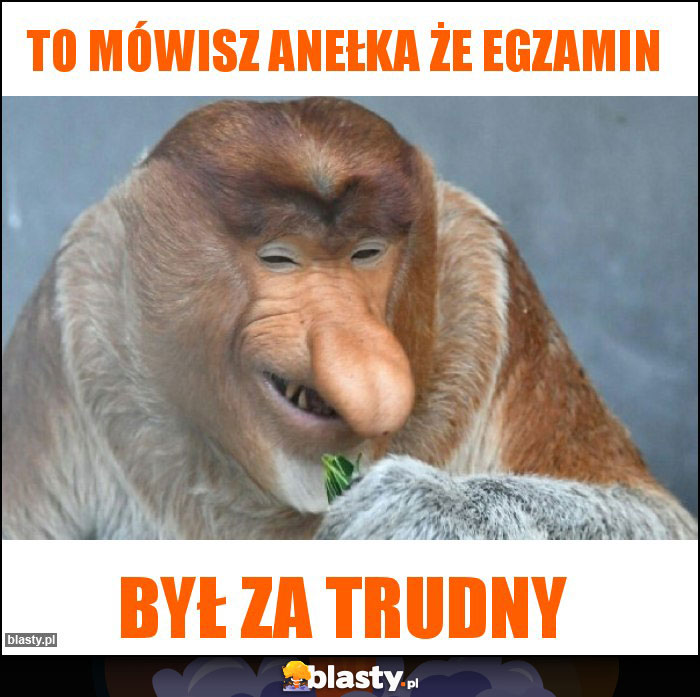 To mówisz anełka że egzamin