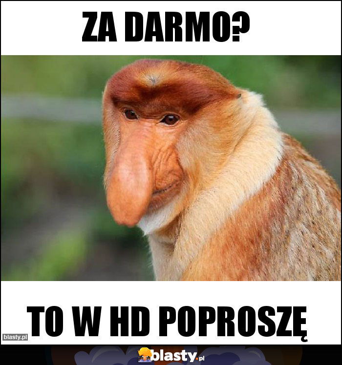 Za darmo?