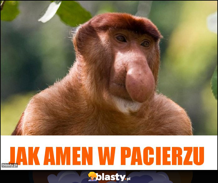 Jak amen w pacierzu