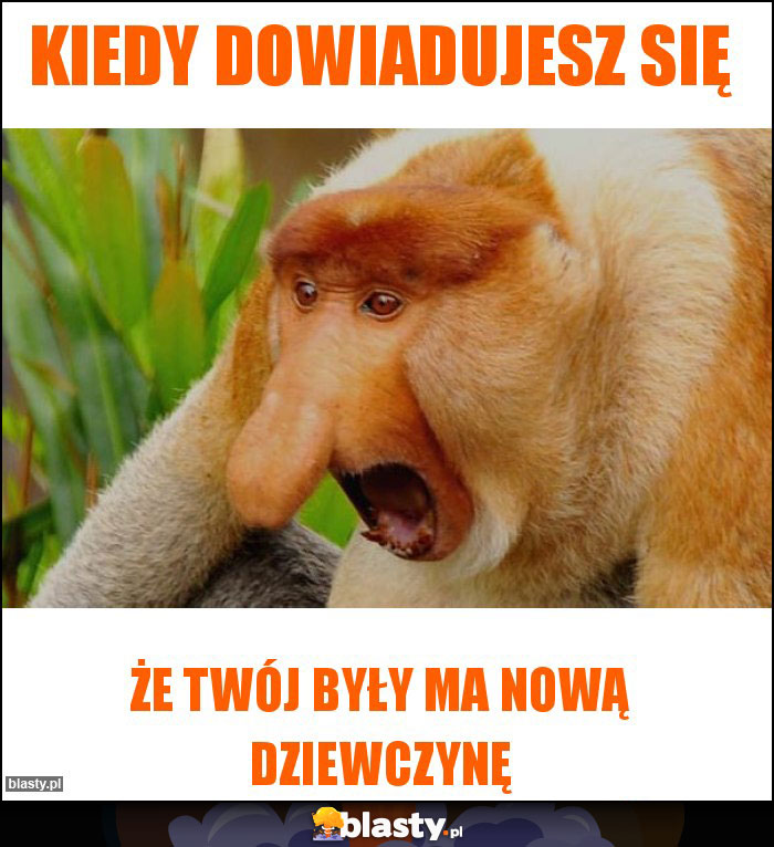 Kiedy dowiadujesz się