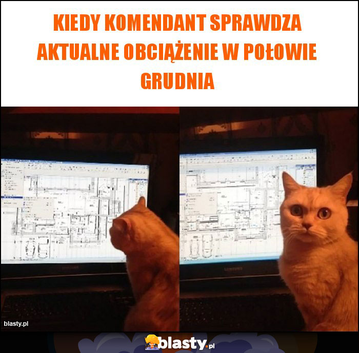 Kiedy komendant sprawdza aktualne obciążenie w połowie grudnia