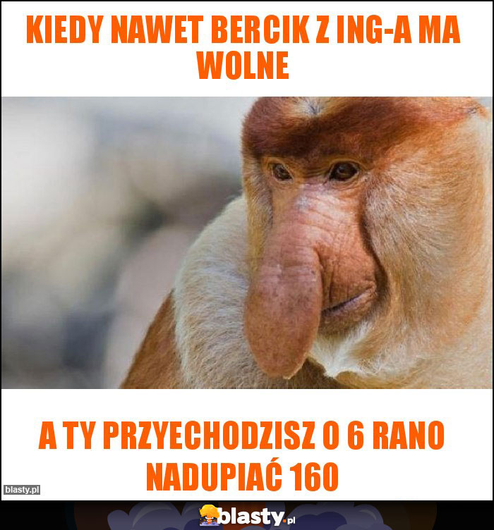 Kiedy nawet bercik z ING-a ma wolne