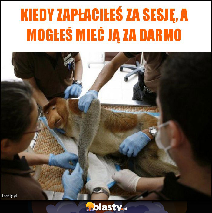 Kiedy zapłaciłeś za sesję, a mogłeś mieć ją za darmo