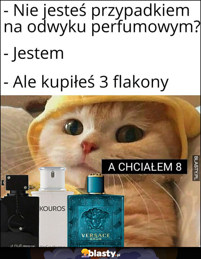 Nie jesteś przypadkiem na odwyku perfumowym? Kot kotek: jestem, ale kupiłeś 3 flakony, a chciałem 8