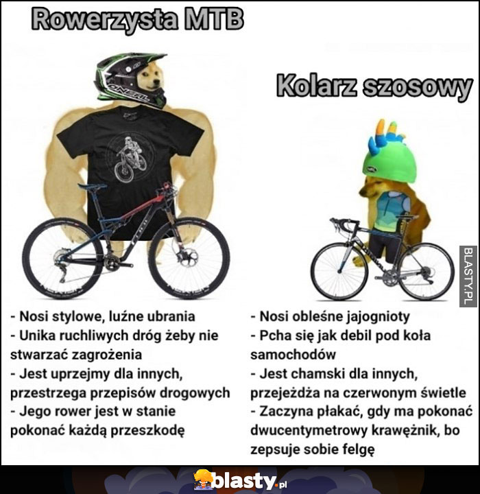 Rowerzysta MTB vs kolarz szosowy porównanie pies pieseł doge