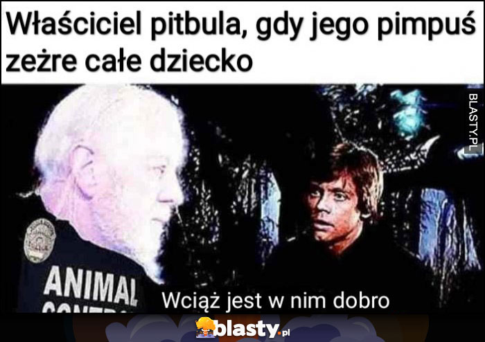 Właściciel pitbula, gdy jego pimpuś zeżre całe dziecko: wciąż jest w nim dobro Star Wars Gwiezdne Wojny