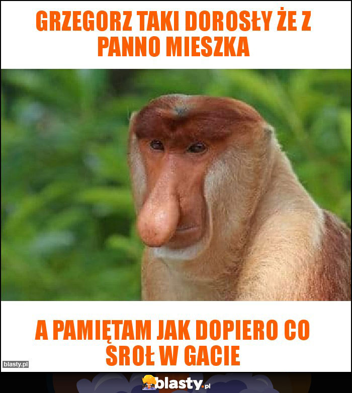 Grzegorz taki dorosły że z panno mieszka