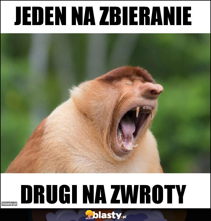 Jeden na zbieranie