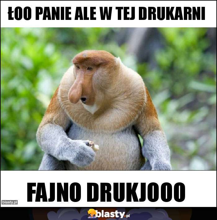 Łoo Panie ale w tej drukarni