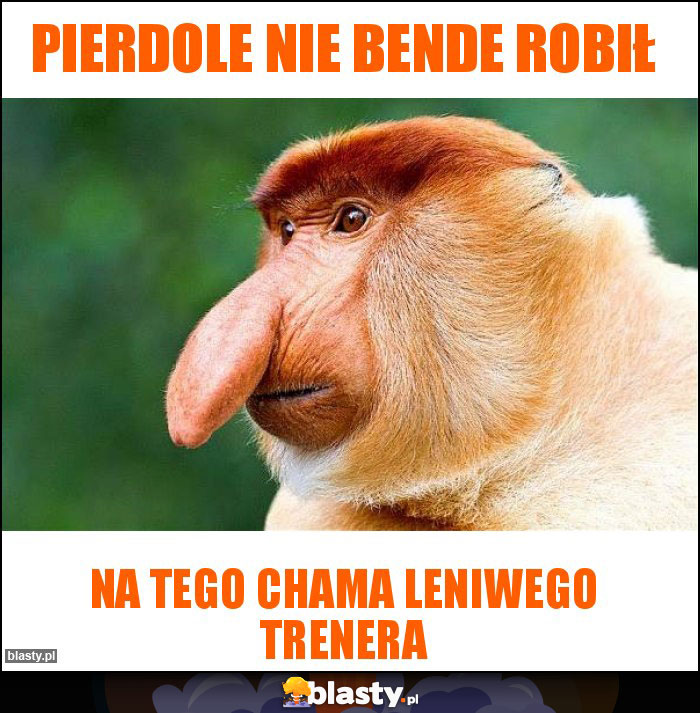 Pierdole nie bende robił