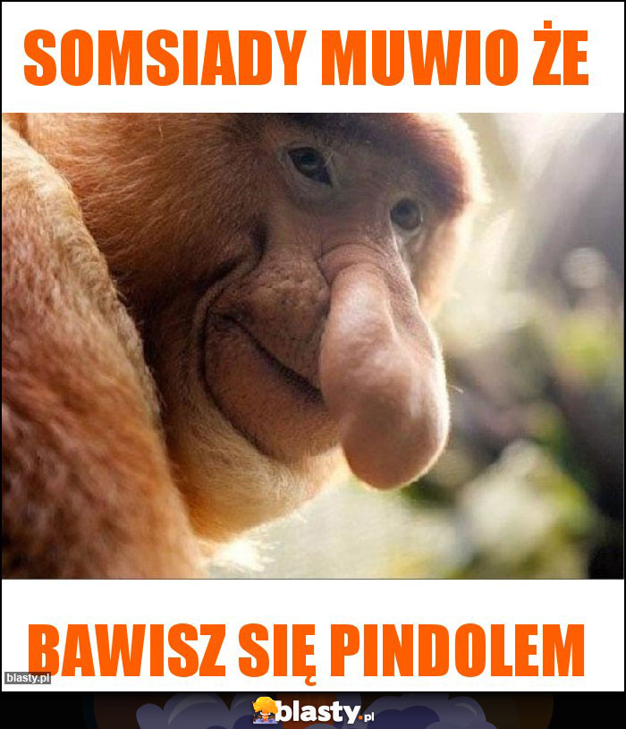 Somsiady muwio że