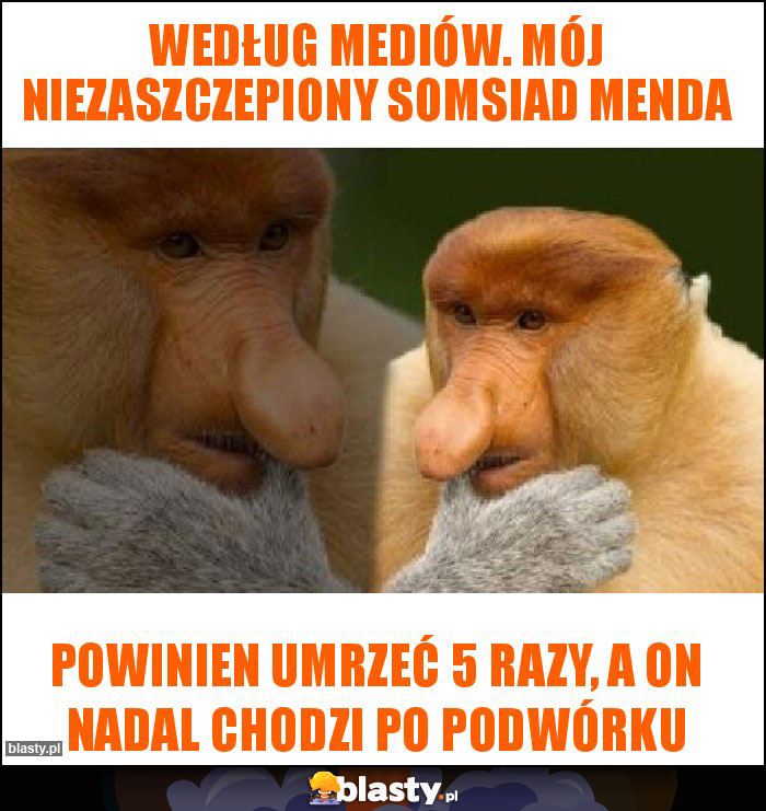 Według mediów. Mój niezaszczepiony somsiad menda