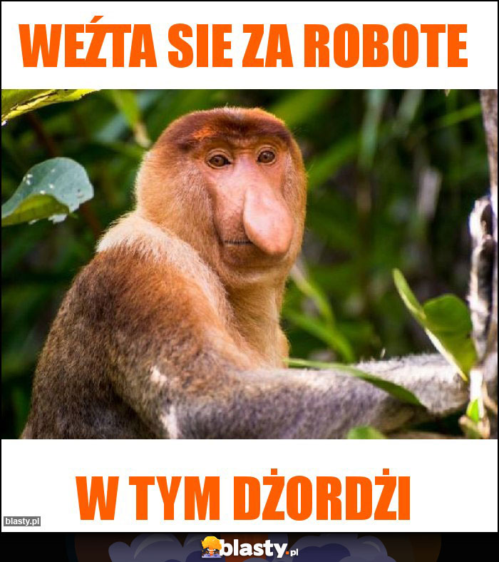 Weźta sie za robote