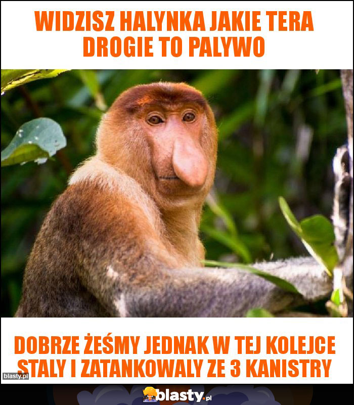 Widzisz halynka jakie tera drogie to palywo