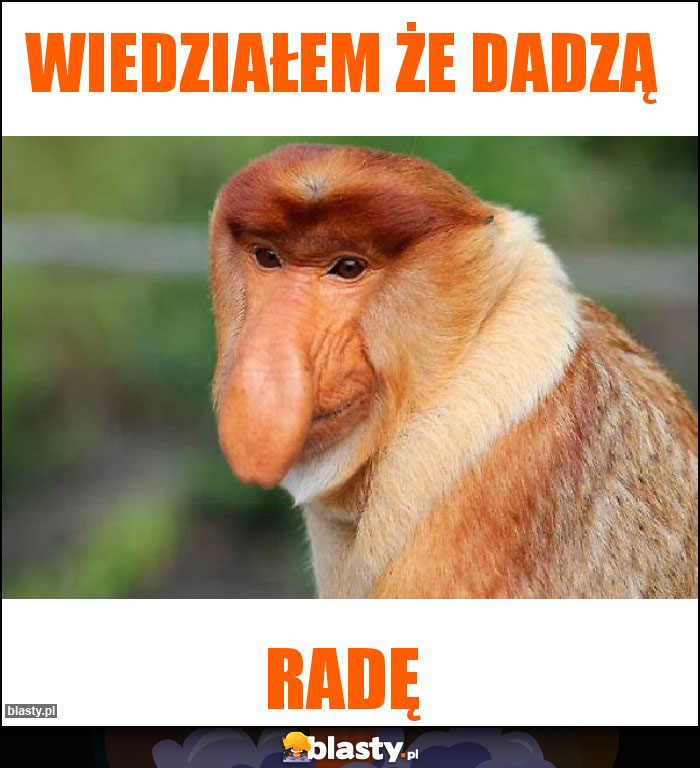 Wiedziałem że dadzą