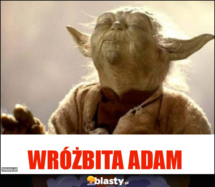 WRÓŻBITA ADAM