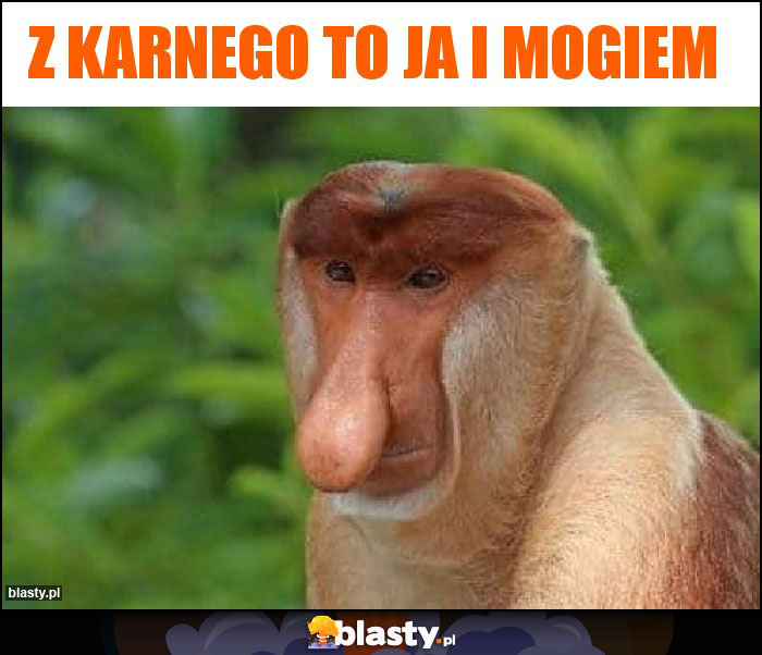 Z karnego to ja i mogiem