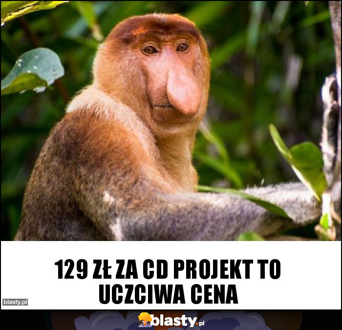 129 zł za CD Projekt to uczciwa cena