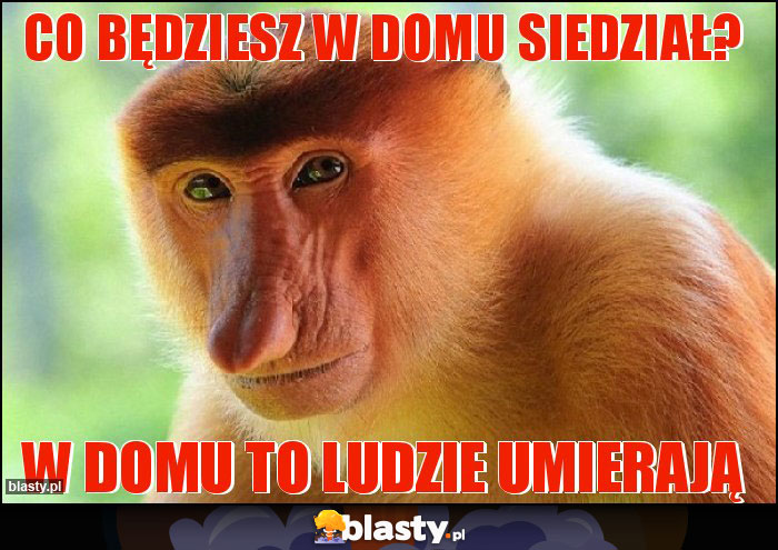 Co będziesz w domu siedział?