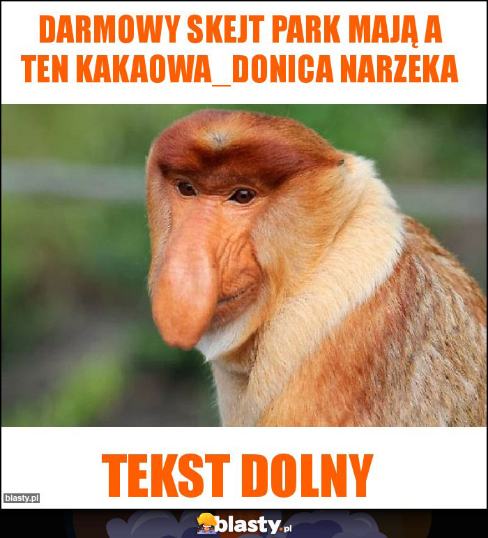 Darmowy skejt park mają a ten kakaowa_donica narzeka