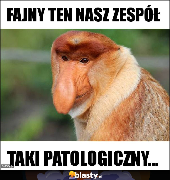 Fajny ten nasz zespół