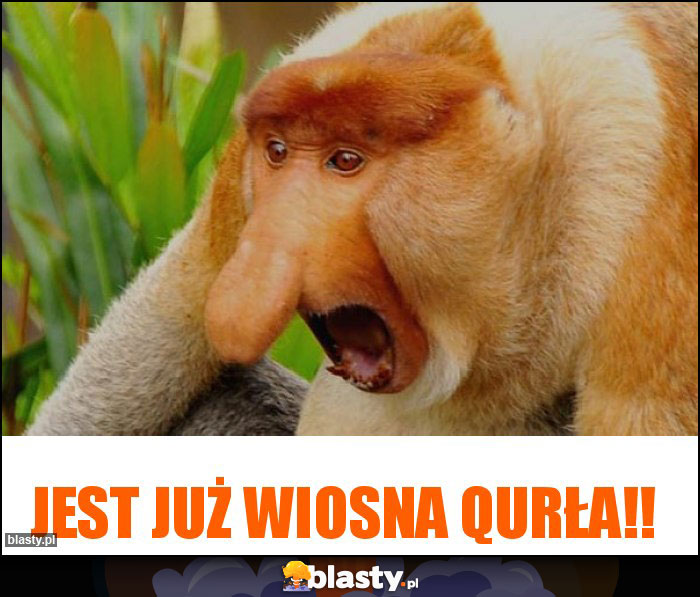 JEST JUŻ WIOSNA QURŁA!!