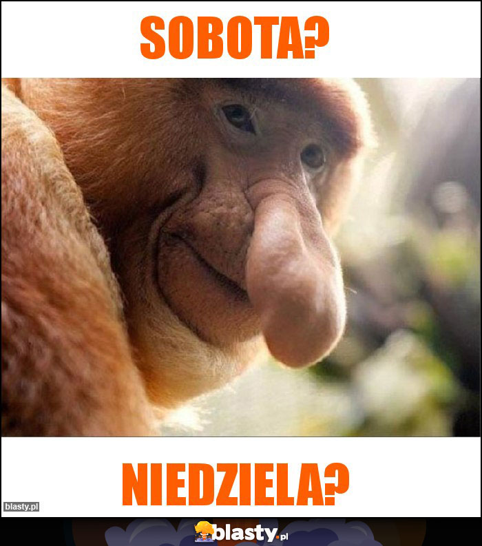 Sobota?