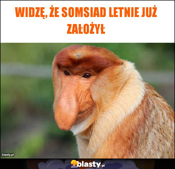 Widzę, że somsiad letnie już założył