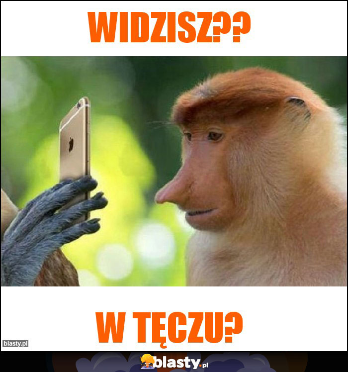 Widzisz??