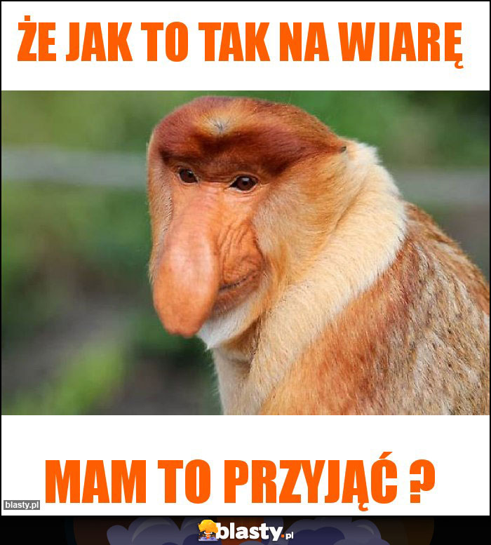 Że jak to tak na wiarę