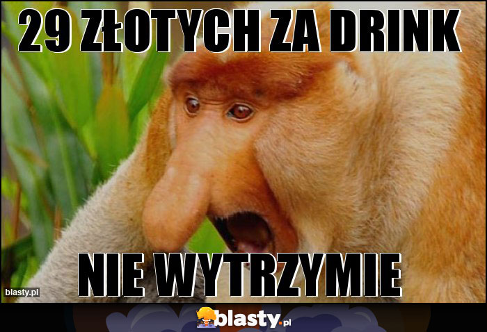 29 złotych za drink