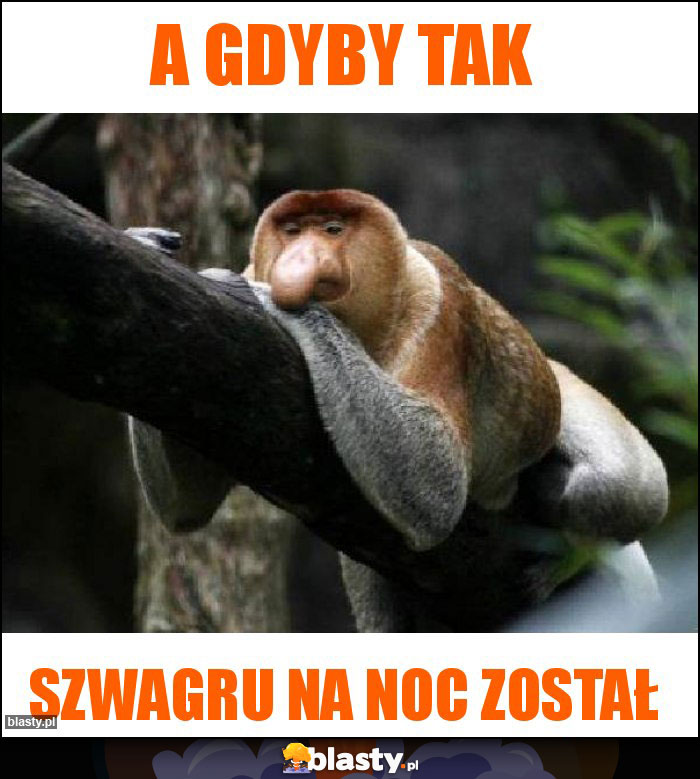 A gdyby tak