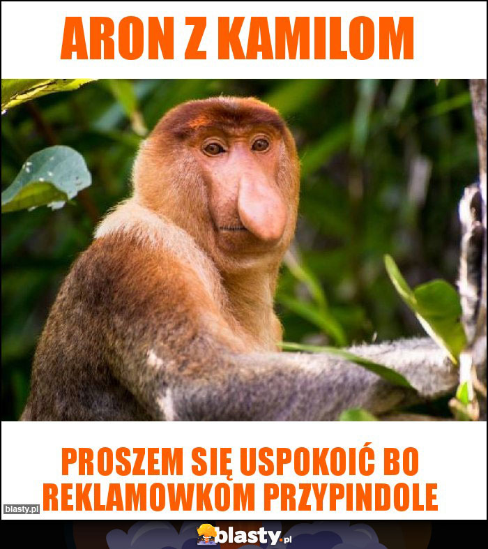 Aron z Kamilom