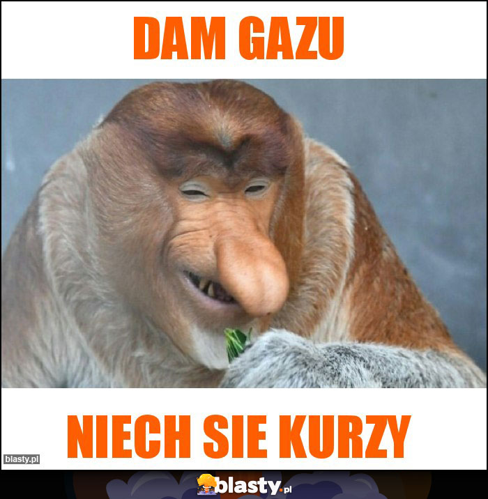 Dam gazu