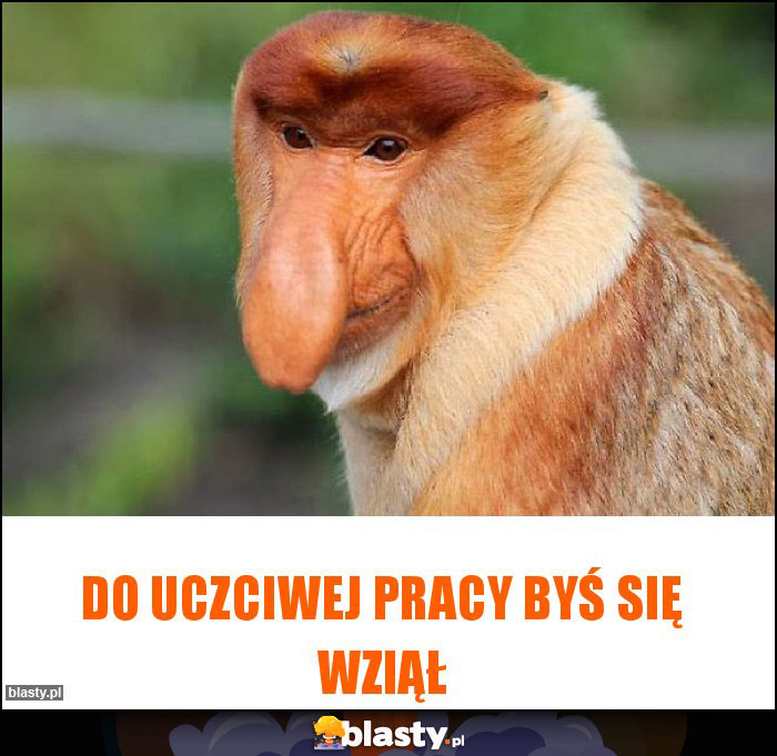 Do uczciwej pracy byś się wziął