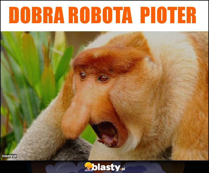 Dobra Robota  pioter