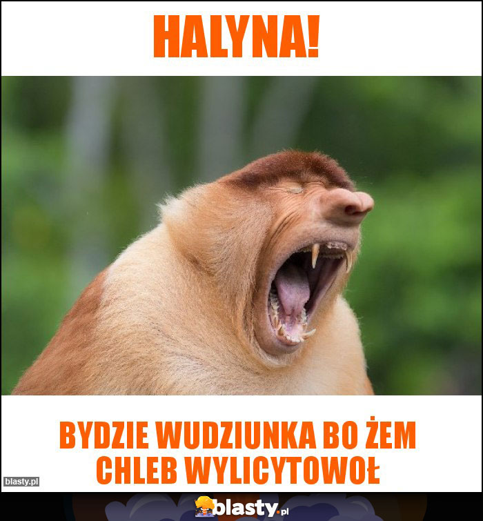 Halyna!