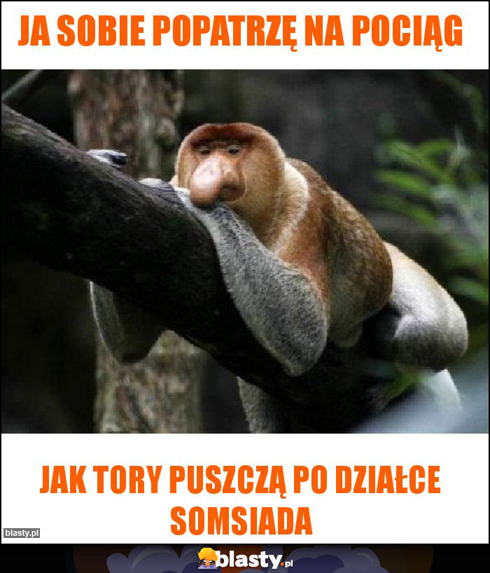 JA SOBIE POPATRZĘ NA POCIĄG