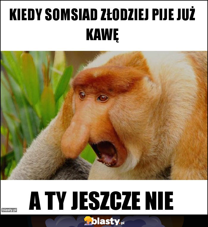 Kiedy somsiad złodziej pije już kawę