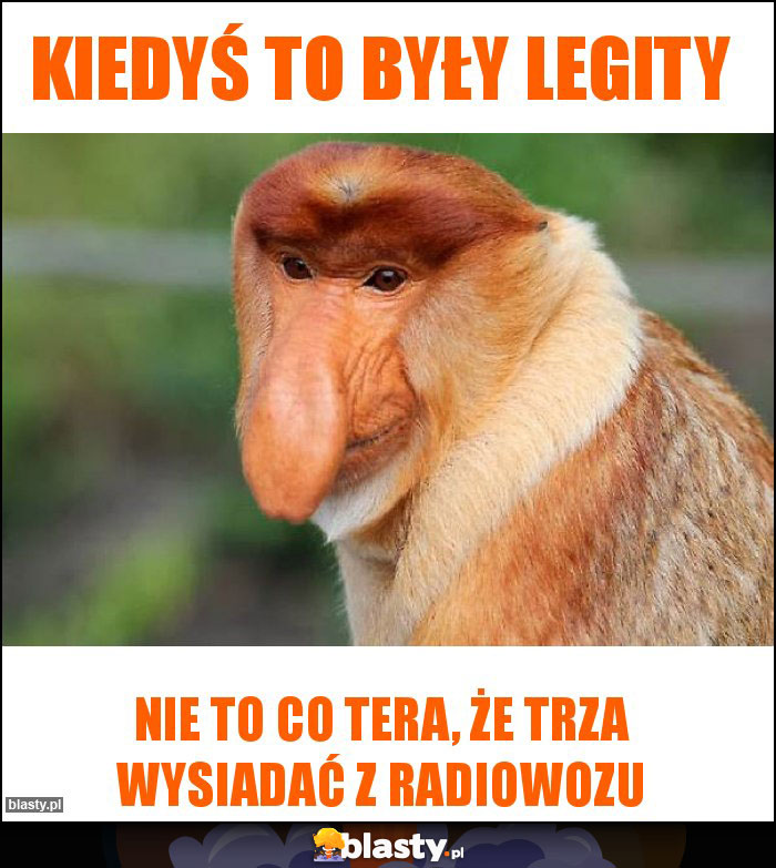 Kiedyś to były legity