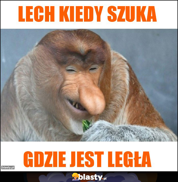 Lech kiedy szuka